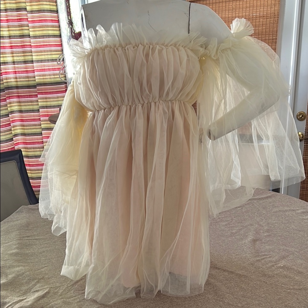 Elegant Off-Shoulder Tulle Dress